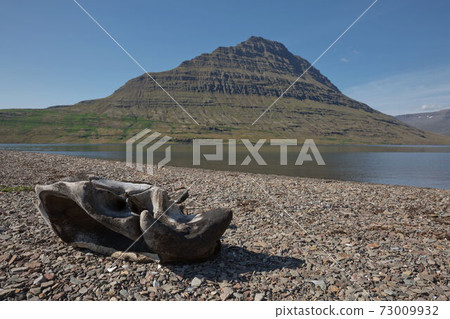 Holmatindur the mighty and iconic landmark mountain in Eskifjordur town of east Iceland with nature element in the foreground Holmatindur the mighty and iconic landmark mountain in Eskifjordur town of east Iceland with nature element in the foreground 73009932