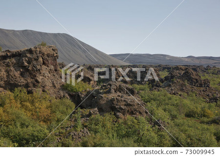 Dimmuborgir - a rock town near the Lake Myvatn in northern Iceland with volcanic caves, lava fields and rock formations 73009945