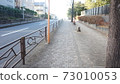 街道樹木和道路 73010053