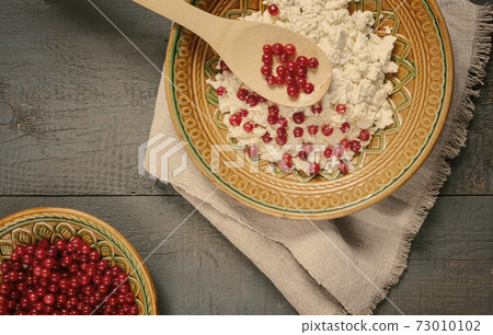 Delicious cottage cheese with red currant berries Delicious cottage cheese with red currant berries 73010102
