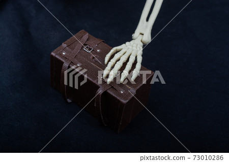 Human skeleton hand anatomy model on model suitcase Human skeleton hand anatomy model on model suitcase 73010286