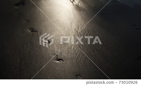 Winter morning on the beach with small waves and dark sand, The waters edge on a sandy beach with no people about 73010926