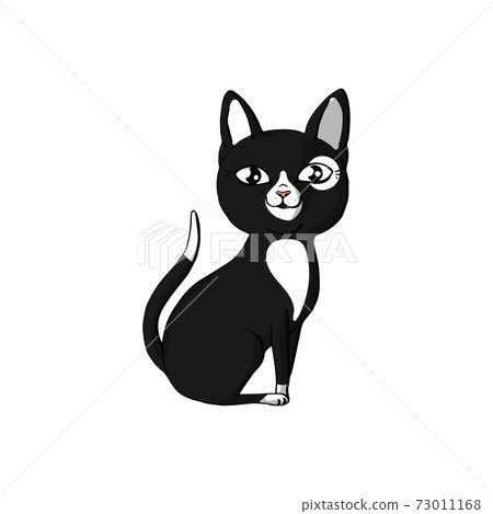 cute funny animal cat sitting. isolated on white background. 73011168