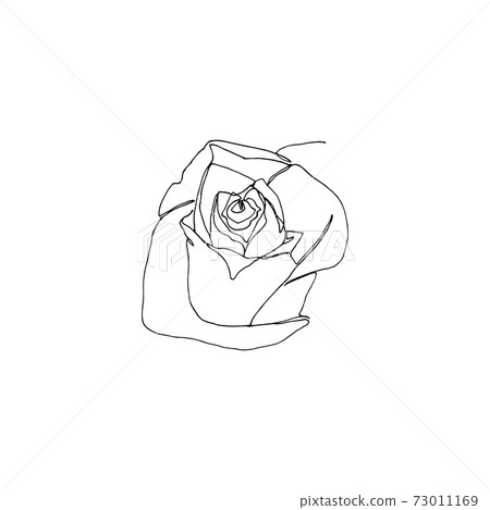 Hand drawn rose flower, one single continuous line drawing. Hand drawn rose flower, one single continuous line drawing. 73011169