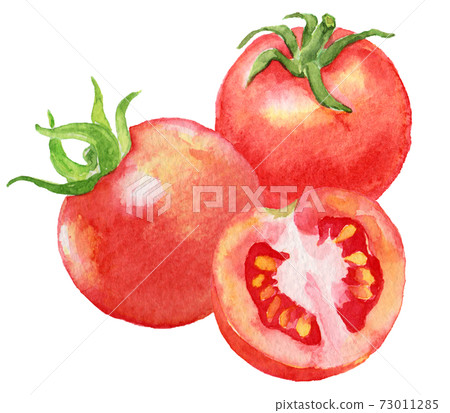 Watercolor three cherry tomatoes Watercolor three cherry tomatoes 73011285