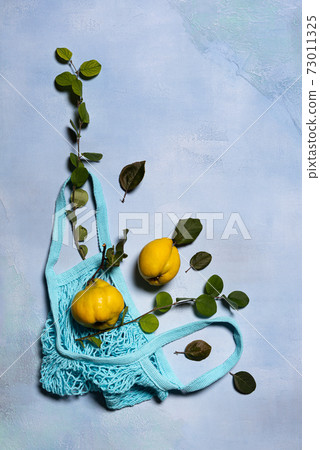 Quince apples, green branches, leaves and mesh bag Quince apples, green branches, leaves and mesh bag 73011325