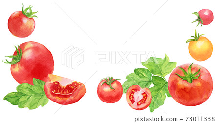 水彩西紅柿和櫻桃西紅柿的底框 水彩西紅柿和櫻桃西紅柿的底框 73011338