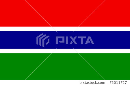 Gambia national flag in exact proportions - Vector 73011727