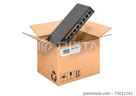Network switch inside cardboard box, delivery concept. 3D rendering Network switch inside cardboard box, delivery concept. 3D rendering 73012181