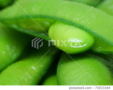 毛豆 73013164