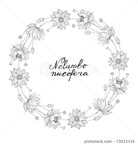 Wreath from lotus flower, floral round decoration border 73013316