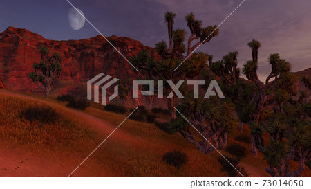 Thickets of Joshua trees and rocks under half moon 73014050