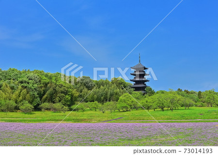 [Okayama Prefecture] Five-storied pagoda 73014193