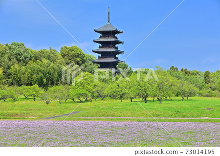 [Okayama Prefecture] Five-storied pagoda 73014195