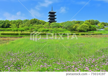 [岡山縣]五層寶塔 73014197