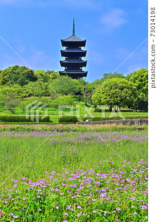 [岡山縣]五層寶塔 73014198