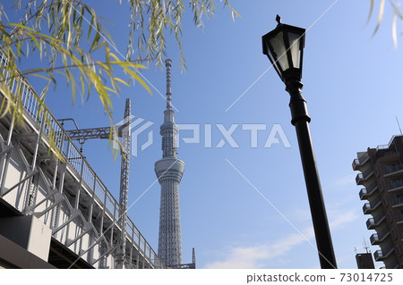 A view of the Tokyo Sky Tree in Sumida Ward, Tokyo 73014725
