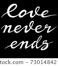 Love never ends saying in calligraphic style. Lettering qoute about love for prints, cards, valentines day decor 73014842