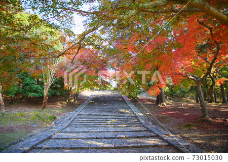 Brightly colored maple of Todaiji bell tower 73015030