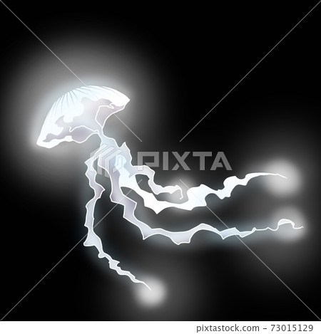 神奇的水母圖 73015129