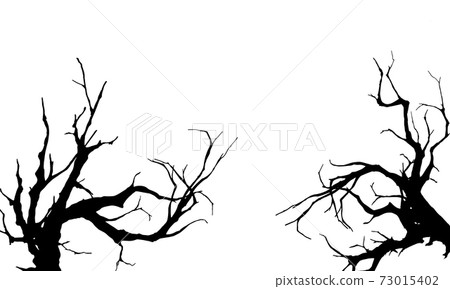 Two branches tree vector illustration Two branches tree vector illustration 73015402