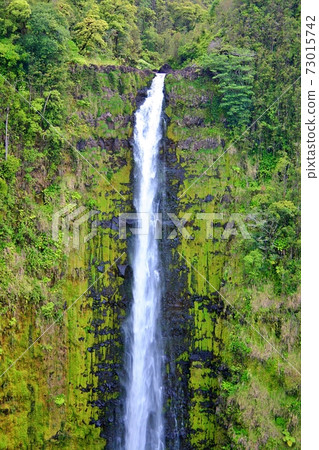 Akaka Falls on the Big Island of Hawaii 73015742