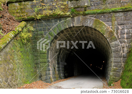 Shizuoka Izu_Old Amagi Tunnel 73016028