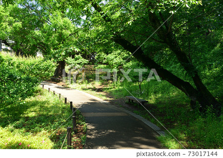 大倉山公園（橫濱市北區） 73017144