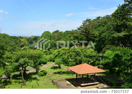 大倉山公園(橫濱市北區) 大倉山公園(橫濱市北區) 73017157