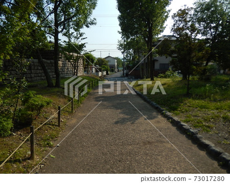 托羅公園漫步 73017280