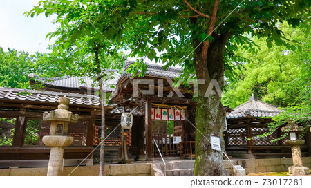 名古屋東照宮<愛知縣名古屋市> 73017281