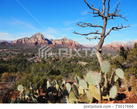 View from Sedona-Airport Mesa View from Sedona-Airport Mesa 73017666