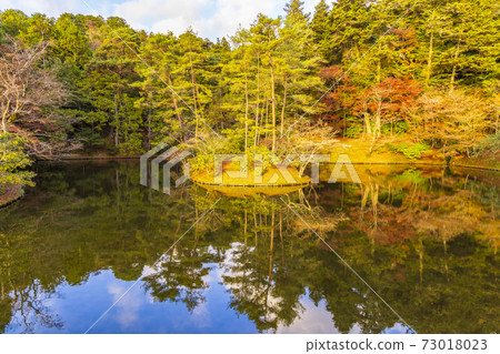 秋季京都修學院院立急 秋季京都修學院院立急 73018023