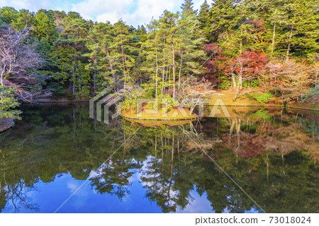 秋季京都修學院院立急 秋季京都修學院院立急 73018024