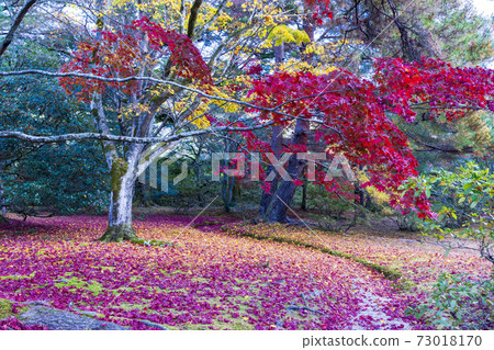 Autumn Kyoto Shugakuin Imperial Villa 73018170