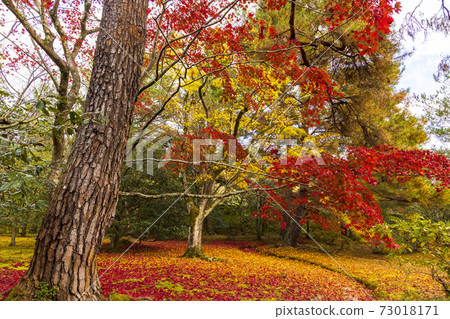 Autumn Kyoto Shugakuin Imperial Villa 73018171