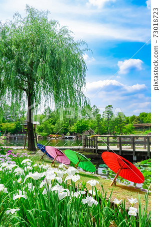 德川園，鳶尾花和日本雨傘<愛知縣名古屋市> 73018723