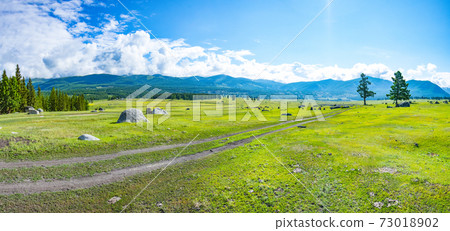 Alpine steppe in the background of snowy mountains Alpine steppe in the background of snowy mountains 73018902