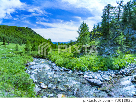The Altai landscape with mountain river and green rocks, Siberia, Altai Republic, Russia The Altai landscape with mountain river and green rocks, Siberia, Altai Republic, Russia 73018923