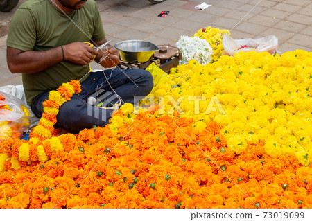 印度_萬壽菊賣家 印度_萬壽菊賣家 73019099
