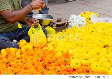 印度_萬壽菊賣家 73019100
