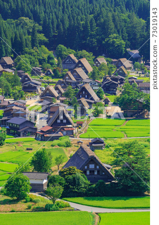 Gifu_仲夏白川鄉 73019143