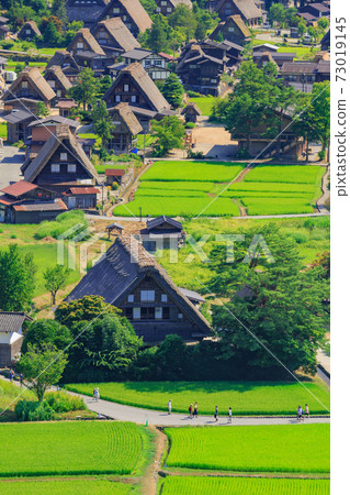 Gifu_仲夏白川鄉 73019145