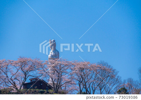 Funaoka Heiwa Kannon and Sakura in Funaoka Castle Ruins Park [Miyagi Prefecture] 73019386