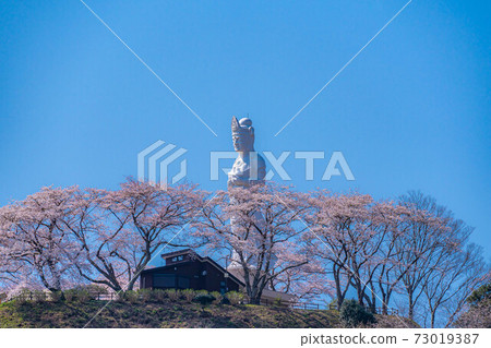 Funaoka Heiwa Kannon and Sakura in Funaoka Castle Ruins Park [Miyagi Prefecture] 73019387
