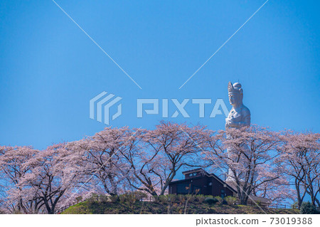 Funaoka Heiwa Kannon and Sakura in Funaoka Castle Ruins Park [Miyagi Prefecture] 73019388