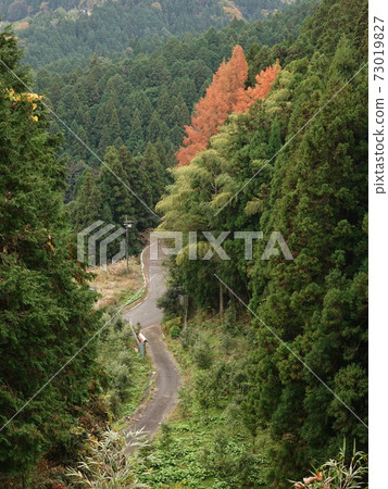 Mountain farm road 73019827