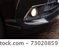 Car fog lights 73020859