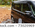 Keyless and car 73020969