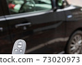 Keyless and car 73020973
